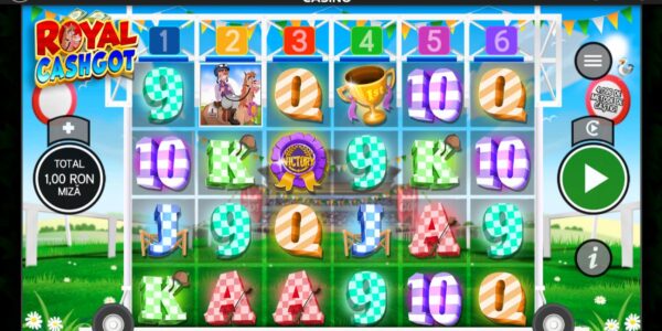 royal cashgot